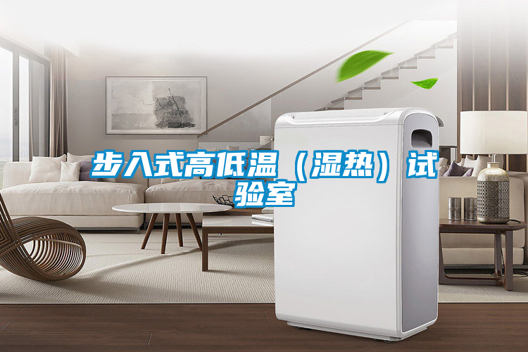 步入式高低溫(濕熱)試驗(yàn)室
