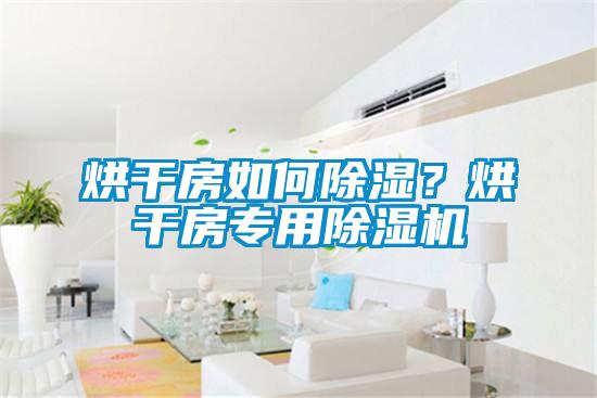 烘干房如何除濕<div   id=
