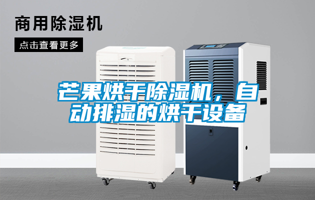 芒果烘干除濕機(jī)<div   id=
