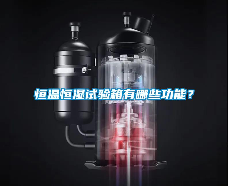 恒溫恒濕試驗(yàn)箱有哪些功能?