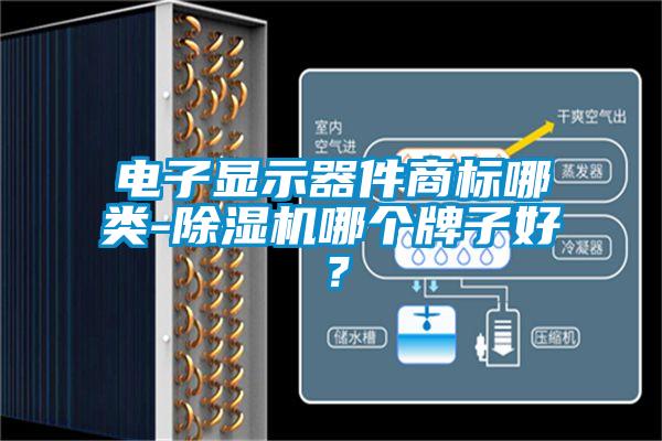 電子顯示器件商標(biāo)哪類-除濕機(jī)哪個(gè)牌子好<div   id=