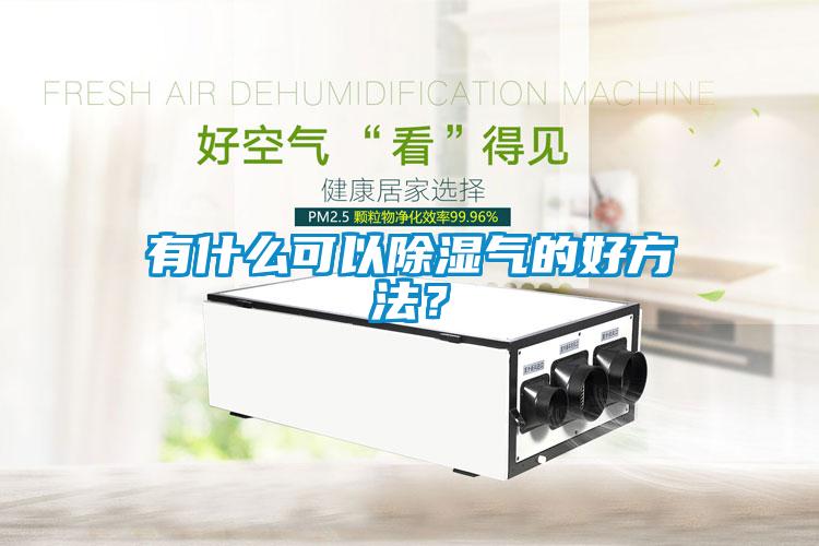 有什么可以除濕氣的好方法<div   id=