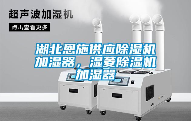 湖北恩施供應(yīng)除濕機(jī)加濕器<div   id=