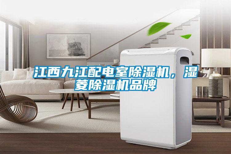 江西九江配電室除濕機(jī)<div   id=