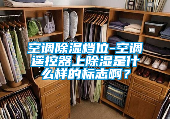 空調(diào)除濕檔位-空調(diào)遙控器上除濕是什么樣的標(biāo)志?div   id=