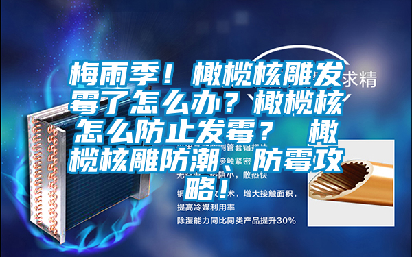 梅雨季！橄欖核雕發(fā)霉了怎么辦<div   id=