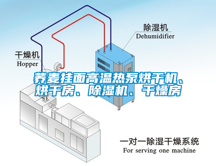 蕎麥掛面高溫熱泵烘干機<div   id=