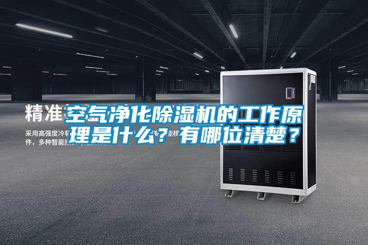 空氣凈化除濕機的工作原理是什么<div   id=