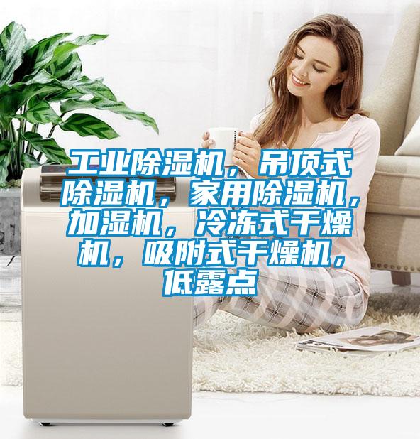工業(yè)除濕機<div   id=