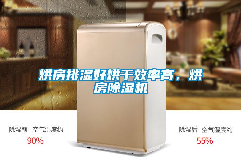 烘房排濕好烘干效率高<div   id=