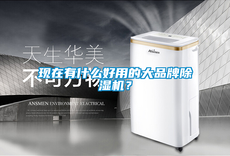 現(xiàn)在有什么好用的大品牌除濕機(jī)<div   id=