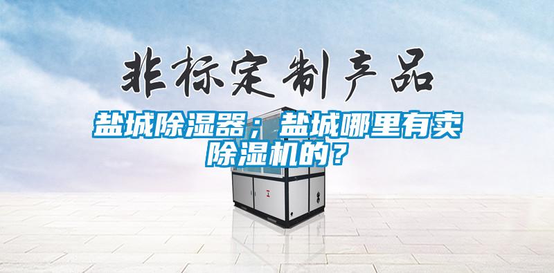 鹽城除濕器<div   id=