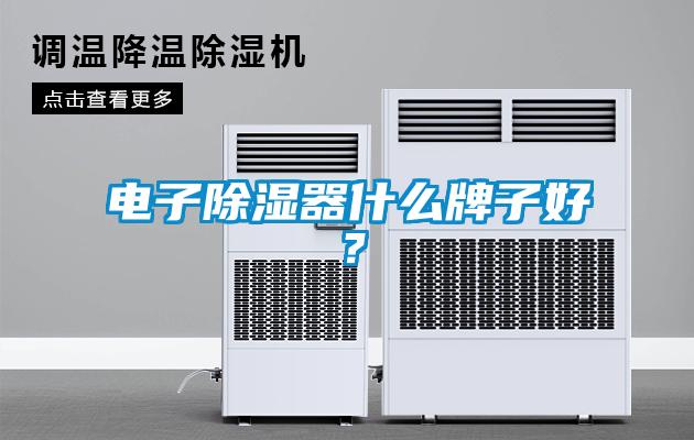 電子除濕器什么牌子好<div   id=