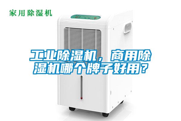 工業(yè)除濕機(jī)<div   id=