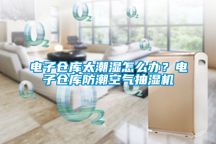電子倉庫太潮濕怎么辦?電子倉庫防潮空氣抽濕機(jī)