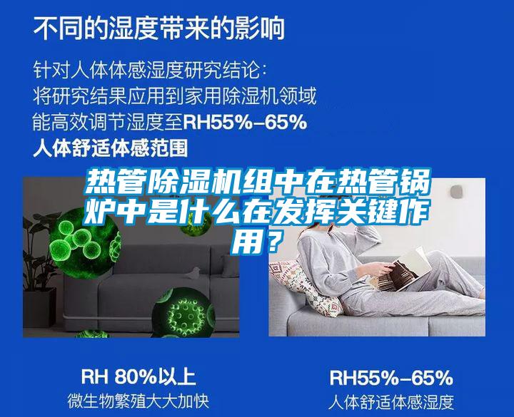 熱管除濕機(jī)組中在熱管鍋爐中是什么在發(fā)揮關(guān)鍵作用<div   id=