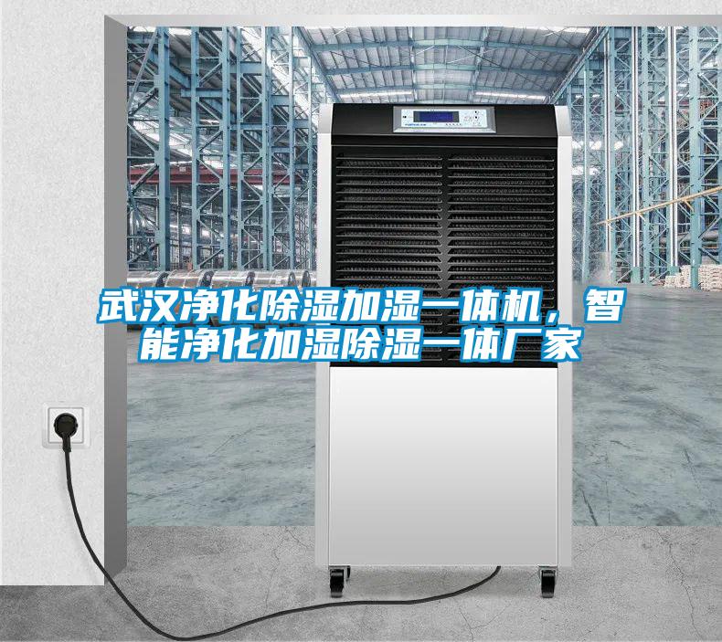 武漢凈化除濕加濕一體機(jī)<div   id=