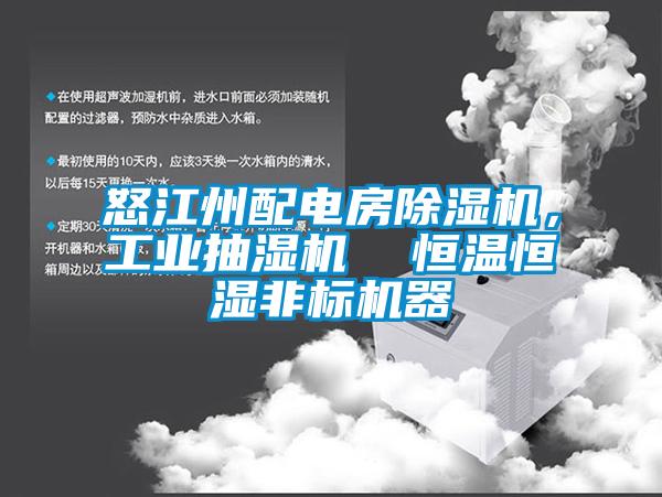 怒江州配電房除濕機，工業(yè)抽濕機  恒溫恒濕非標(biāo)機器