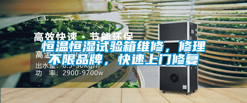 恒溫恒濕試驗箱維修，修理不限品牌<div   id=