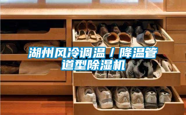 湖州風(fēng)冷調(diào)溫/降溫管道型除濕機