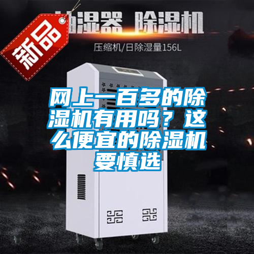 網(wǎng)上一百多的除濕機(jī)有用嗎<div   id=