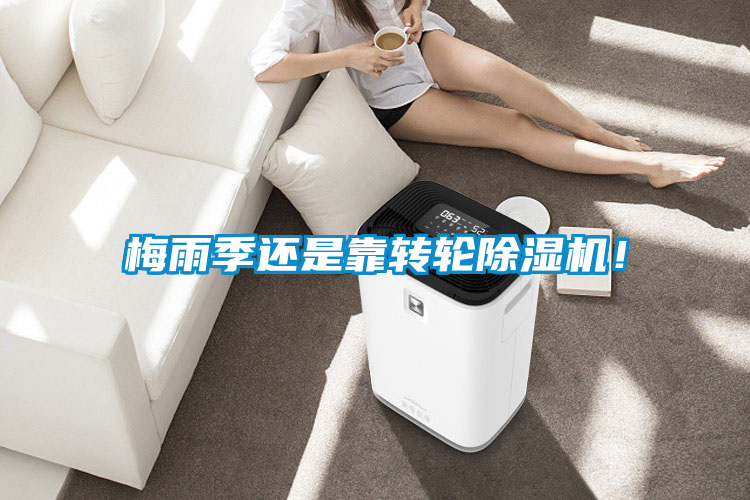 梅雨季還是靠轉(zhuǎn)輪除濕機(jī)<div   id=