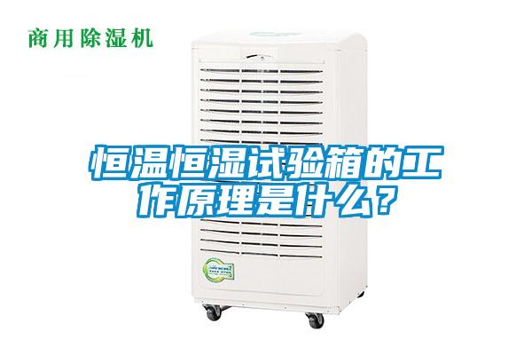 恒溫恒濕試驗(yàn)箱的工作原理是什么<div   id=