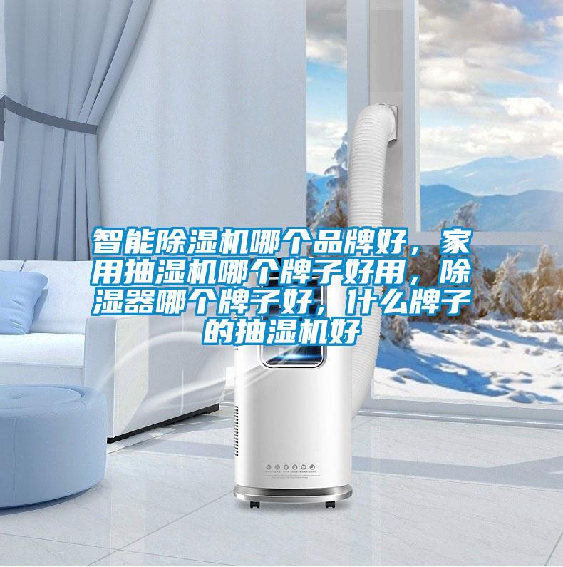智能除濕機哪個品牌好<div   id=