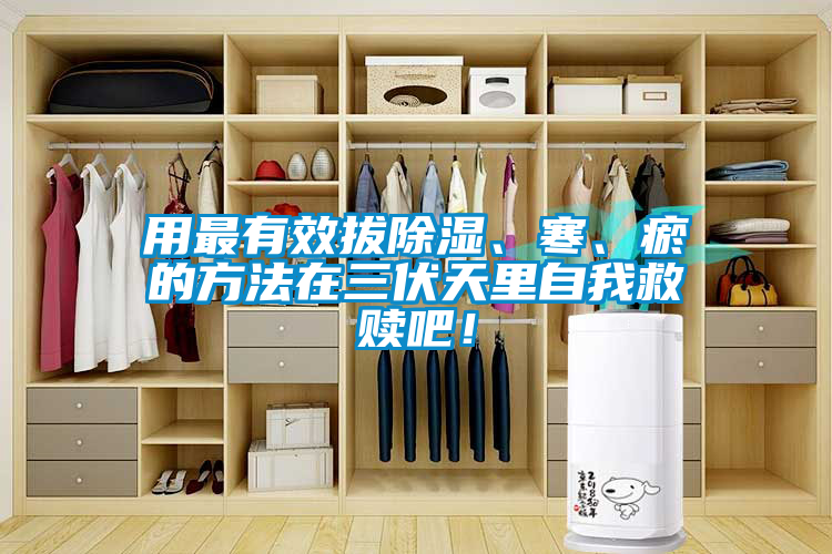 用最有效拔除濕、寒<div   id=