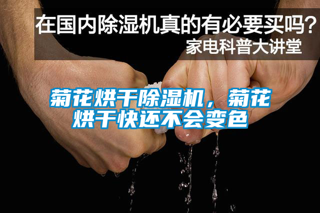 菊花烘干除濕機<div   id=