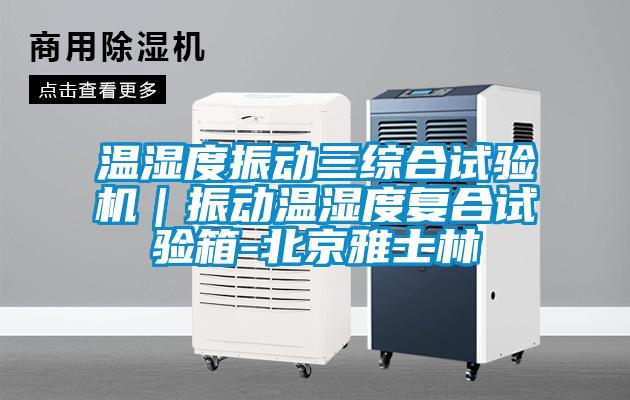 溫濕度振動(dòng)三綜合試驗(yàn)機(jī)|振動(dòng)溫濕度復(fù)合試驗(yàn)箱-北京雅士林