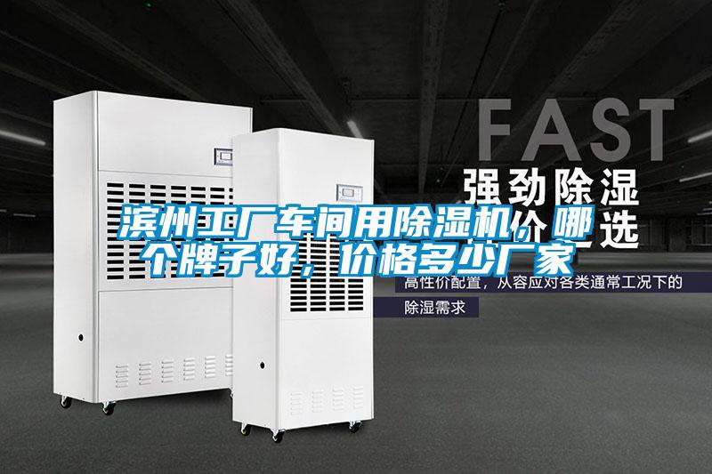 濱州工廠車(chē)間用除濕機(jī)<div   id=