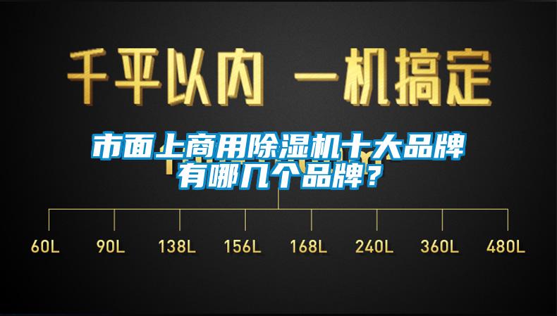 市面上商用除濕機十大品牌有哪幾個品牌<div   id=