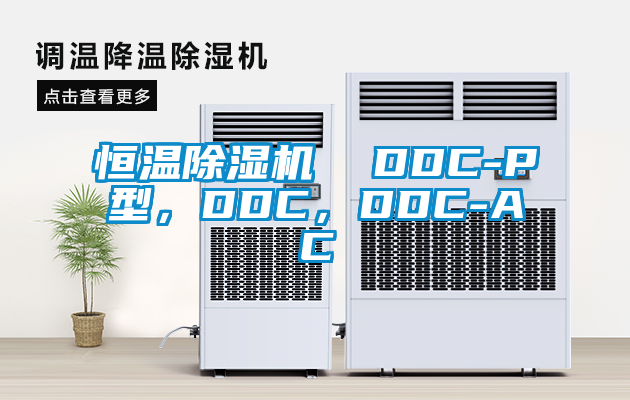恒溫除濕機(jī)  DDC-P型<div   id=