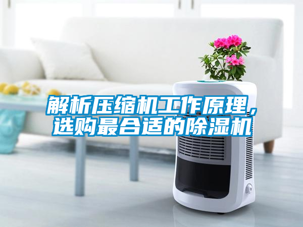 解析壓縮機(jī)工作原理<div   id=