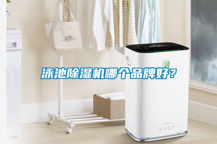 泳池除濕機(jī)哪個(gè)品牌好<div   id=