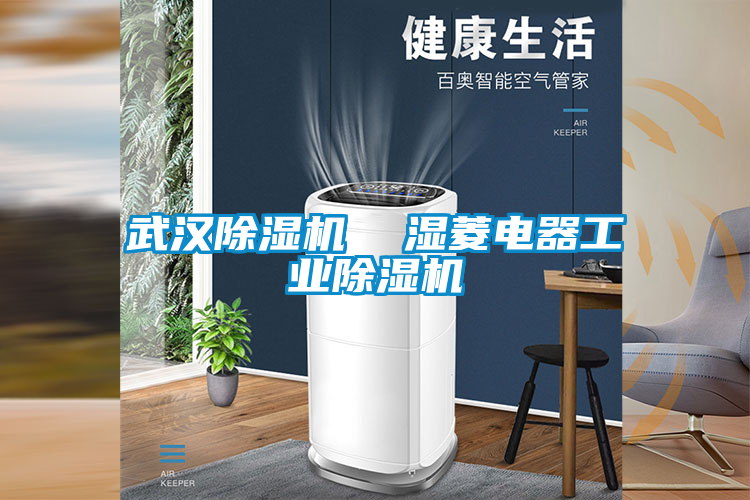 武漢除濕機(jī) 濕菱電器工業(yè)除濕機(jī)