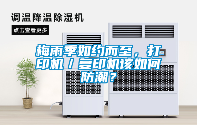 梅雨季如約而至<div   id=