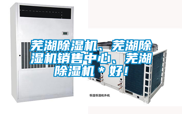 蕪湖除濕機<div   id=