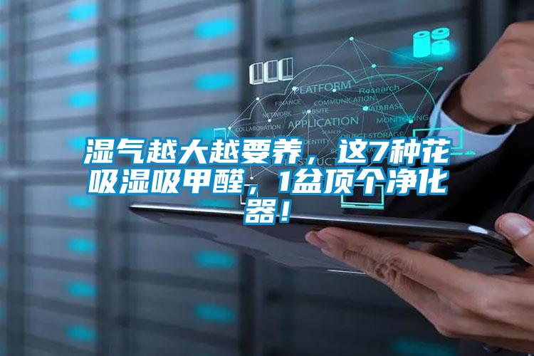濕氣越大越要養(yǎng)<div   id=