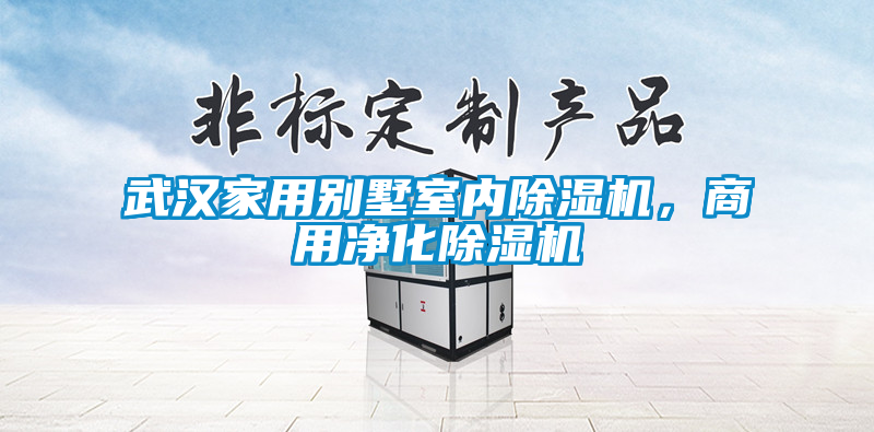 武漢家用別墅室內(nèi)除濕機(jī)<div   id=
