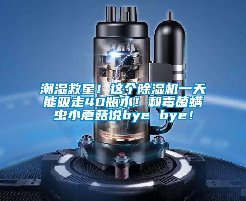 潮濕救星！這個除濕機一天能吸走40瓶水<div   id=