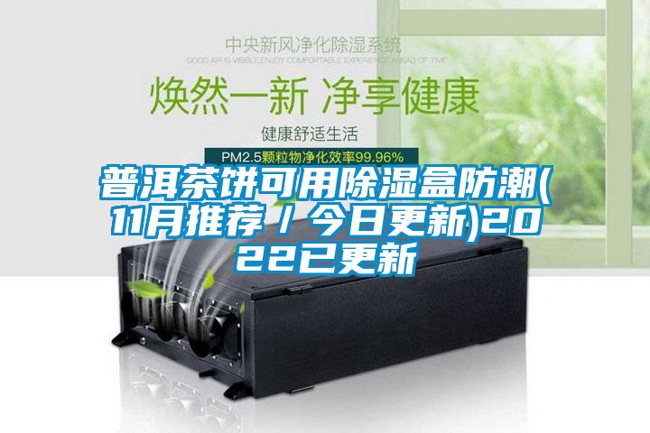 普洱茶餅可用除濕盒防潮(11月推薦/今日更新)2022已更新