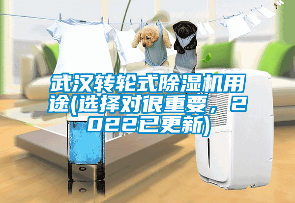 武漢轉(zhuǎn)輪式除濕機(jī)用途(選擇對很重要<div   id=