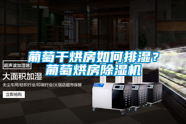 葡萄干烘房如何排濕<div   id=