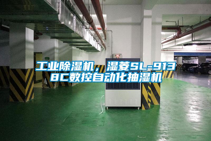 工業(yè)除濕機(jī)<div   id=