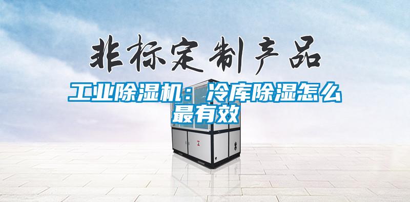 工業(yè)除濕機(jī):冷庫(kù)除濕怎么最有效