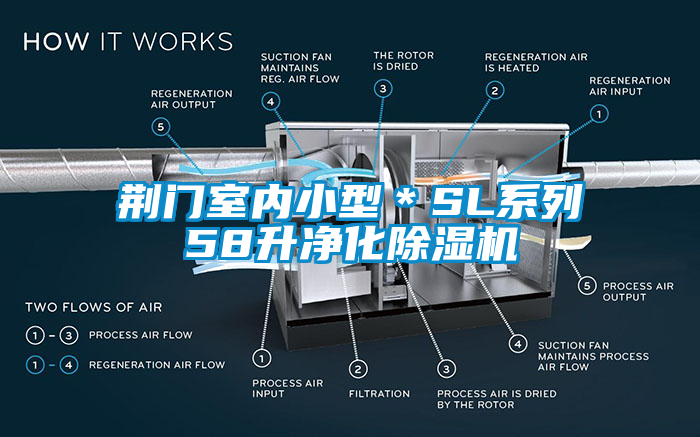 荊門室內(nèi)小型*SL系列58升凈化除濕機(jī)