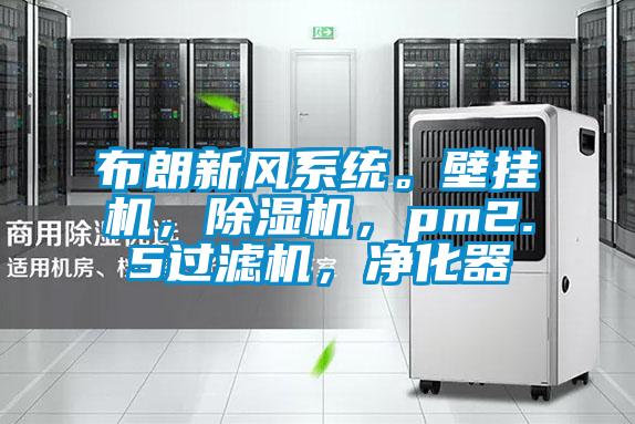 布朗新風(fēng)系統(tǒng)<div   id=