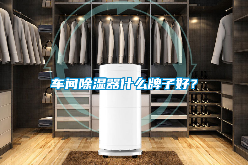車間除濕器什么牌子好<div   id=